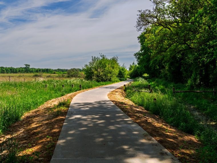 Grijs Ecopath-fietspad in het groene landschap tussen Rekem en Opgrimbie