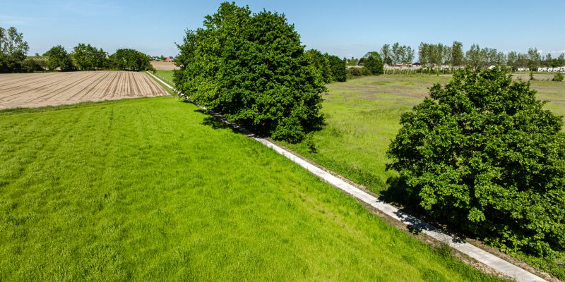 20260522_Ecobeton_traagpad_Geetbets10